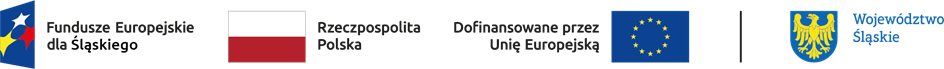 Logotypy Funduszy Europejskich dla Śląskiego, Rzeczypospolitej Polskiej, Unii Europejskiej oraz Wojew&oacute;dztwa Śląskiego informujące o wsp&oacute;łfinansowaniu projektu ze środk&oacute;w UE.